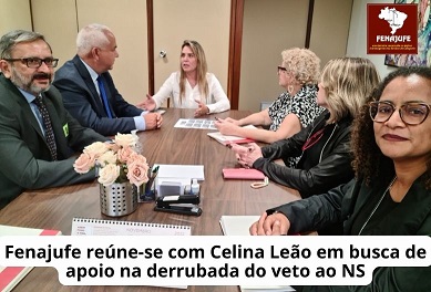 Fenajufe reúne-se com Celina Leão em busca de apoio na derrubada do veto ao NS