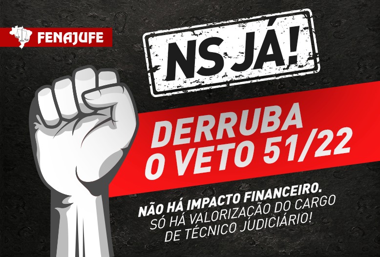 Fenajufe reúne -se com ministro do STF, Dias Tófoli, e pede apoio para derrubada do veto 51 do NS
